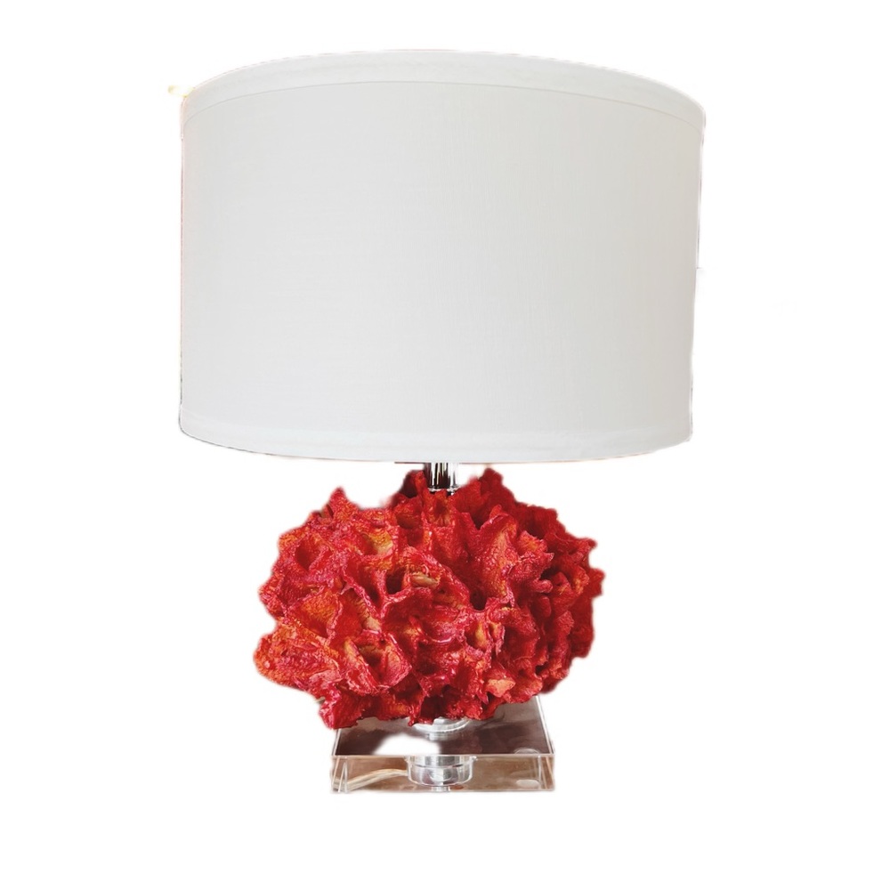 Coral Reef Lamp
